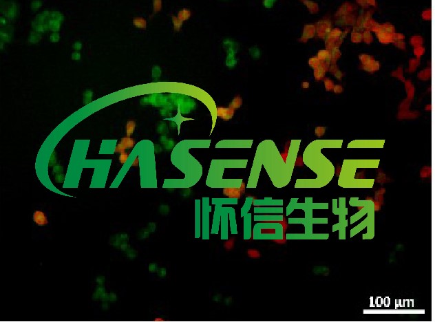 JC-1細(xì)胞線(xiàn)粒體膜電位檢測(cè)